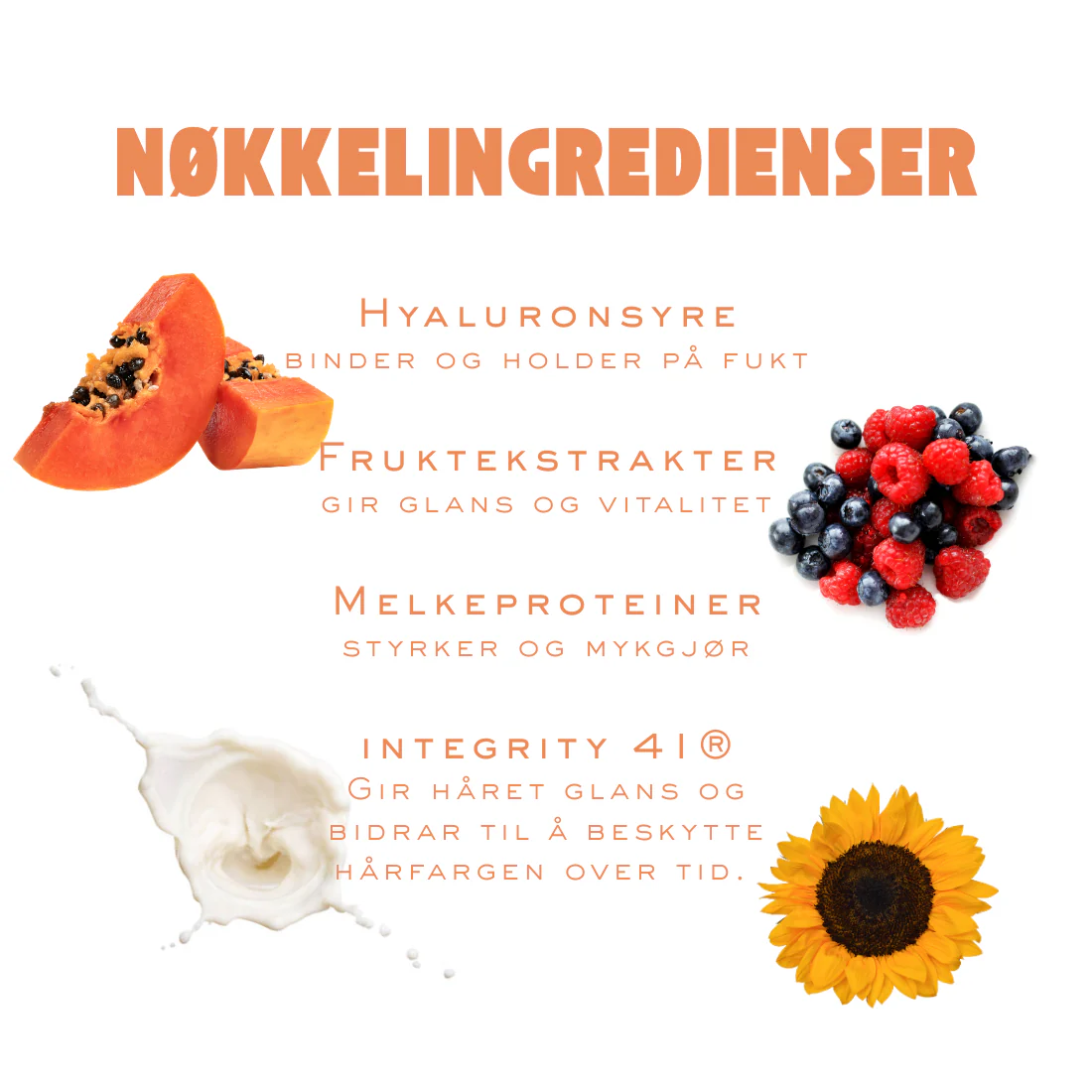 Produktbilde 5